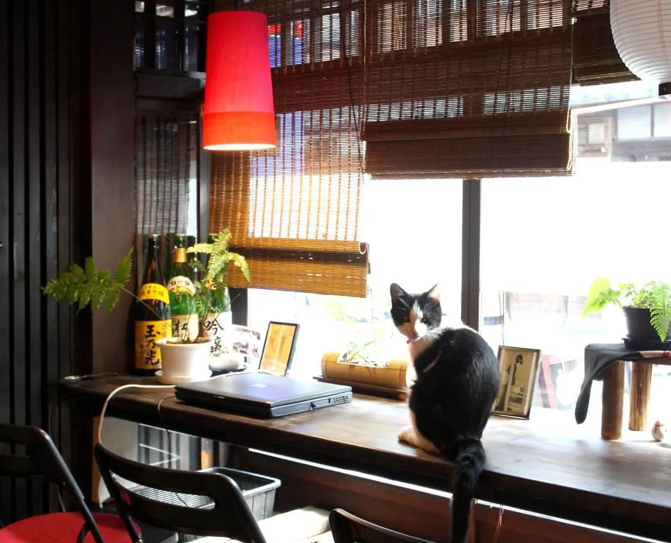 ゲストハウス Kyoto Shirakawa Kiraku Inn